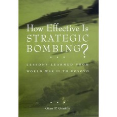 How Effective Is Strategic Bombing?: Lessons Learned from World War II to Kosovo Hardcover, New York University Press