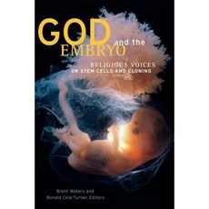 God and the Embryo: Religious Voices on Stem Cells and Cloning Paperback, Georgetown University Press