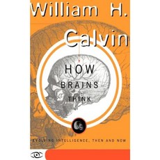How Brains Think: Evolving Intelligence Then and Now Paperback, Basic Books