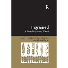 Ingrained: A Human Bio-Geography of Wheat Paperback, Routledge