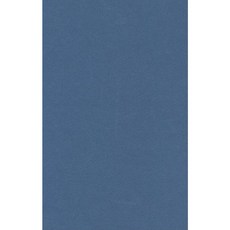 Fundamentalisms and the Media Hardcover, Continuum