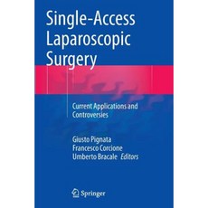 Single-Access Laparoscopic Surgery: Current Applications and Controversies Paperback, Springer