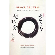 Practical Zen: Meditation and Beyond Paperback, Singing Dragon