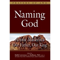 Naming God: Avinu Malkeinu--Our Father Our King Paperback, Jewish Lights Publishing