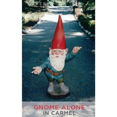 Gnome Alone in Carmel Paperback, Seton Publishing