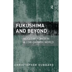 Fukushima and Beyond: Nuclear Power in a Low-Carbon World Hardcover, Routledge