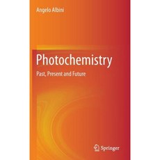 Photochemistry: Past Present and Future Hardcover, Springer