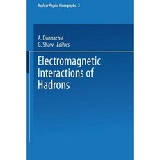 Electromagnetic Interactions of Hadrons Paperback, Springer