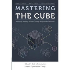Mastering the Cube: Overcoming Stumbling Blocks and Building an Organization That Works Paperback, Alignorg Solutions