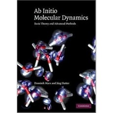 Ab Initio Molecular Dynamics: Basic Theory and Advanced Methods Hardcover, Cambridge University Press