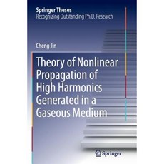 Theory of Nonlinear Propagation of High Harmonics Generated in a Gaseous Medium Paperback, Springer