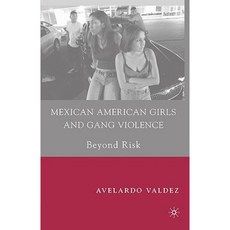 Mexican American Girls and Gang Violence: Beyond Risk Hardcover, Palgrave MacMillan