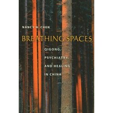 Breathing Spaces: Qigong Psychiatry and Healing in China Paperback, Columbia University Press