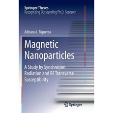 Magnetic Nanoparticles: A Study by Synchrotron Radiation and RF Transverse Susceptibility Paperback, Springer