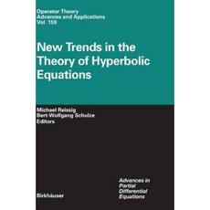New Trends in the Theory of Hyperbolic Equations Hardcover, Birkhauser