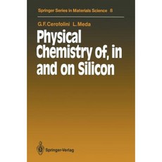Physical Chemistry Of in and on Silicon Paperback, Springer