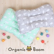 [오가닉붐]착한 유기농 폴라베어 아동 베개/주니어 베개/에어 필로우, 옐로그린, 1개