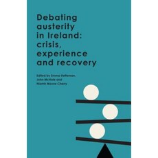 Debating Austerity in Ireland: Crisis Experience and Recovery Paperback, Royal Irish Academy
