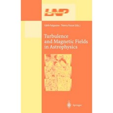 Turbulence and Magnetic Fields in Astrophysics Hardcover, Springer