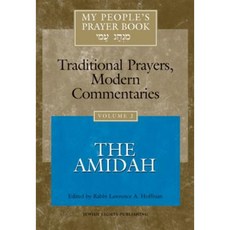 My People's Prayer Book Vol 2: The Amidah Paperback, Jewish Lights Publishing