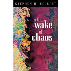 In the Wake of Chaos: Unpredictable Order in Dynamical Systems Paperback, University of Chicago Press