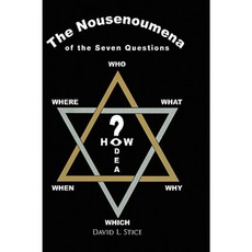The Nousenoumena Questions Paperback, Xlibris Corporation