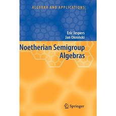 Noetherian Semigroup Algebras Hardcover, Springer