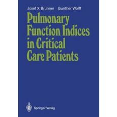 Pulmonary Function Indices in Critical Care Patients Paperback, Springer