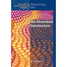 One-Dimensional Nanostructures Paperback, Springer