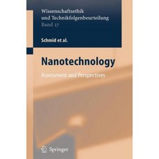Nanotechnology: Assessment and Perspectives Paperback, Springer
