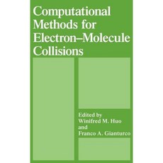 Computational Methods for Electron--Molecule Collisions Hardcover, Springer