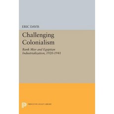 Challenging Colonialism: Bank Misr and Egyptian Industrialization 1920-1941 Paperback, Princeton University Press