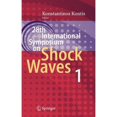 28th International Symposium on Shock Waves: Vol 1 Hardcover, Springer