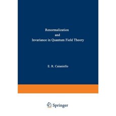 Renormalization and Invariance in Quantum Field Theory Paperback, Springer