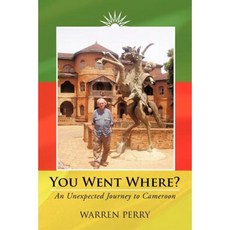 You Went Where?: An Unexpected Journey to Cameroon Paperback, iUniverse