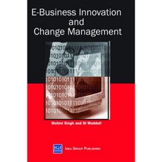 E-Business Innovation and Change Management Hardcover, Idea Group Publishing