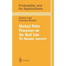 Marked Point Processes on the Real Line: The Dynamical Approach Hardcover, Springer