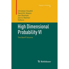 High Dimensional Probability VI: The Banff Volume Paperback, Birkhauser