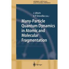 Many-Particle Quantum Dynamics in Atomic and Molecular Fragmentation Paperback, Springer