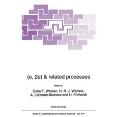 (E 2e) & Related Processes Hardcover, Springer