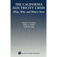 The California Electricity Crisis: What Why and What's Next Hardcover, Springer