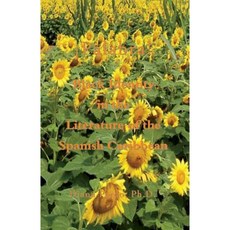 Palabra!: Black Identity in the Literature of the Spanish Caribbean Paperback, Blue Ocean Press