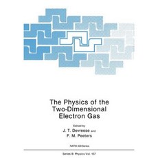 The Physics of the Two-Dimensional Electron Gas Paperback, Springer
