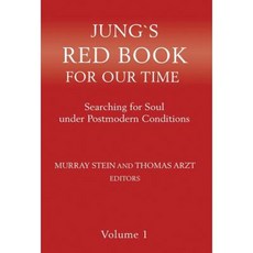 Jungs Red Book for Our Time: Searching for Soul Under Postmodern Conditions Hardcover, Chiron Publications
