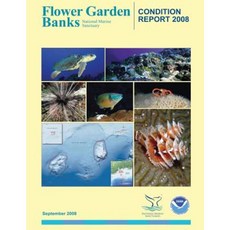 Flower Garden Banks National Marine Sanctuary Condition Report 2008 Paperback, Createspace