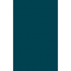 Britain and the Congo in the Nineteenth Century. Hardcover, Praeger