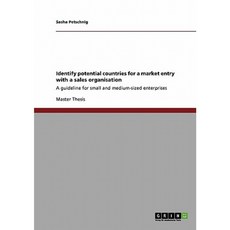 Identify Potential Countries for a Market Entry with a Sales Organisation Paperback, Grin Publishing