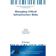 Managing Critical Infrastructure Risks: Decision Tools and Applications for Port Security Hardcover, Springer