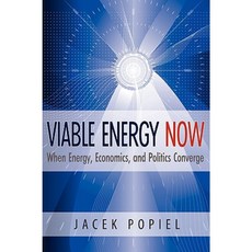 Viable Energy Now: When Energy Economics and Politics Converge Paperback, Banyan Tree Press