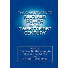 The Challenges to Nuclear Power in the Twenty-First Century Paperback, Springer
